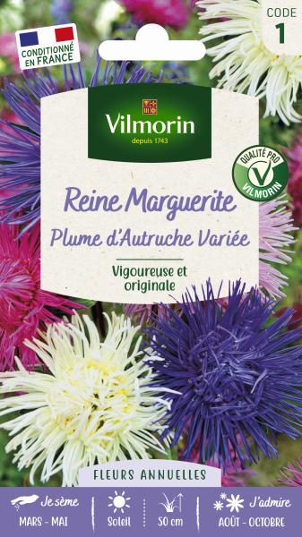 Fleurs - Reine-Marguerite Plume d’Autruche Variée  - PACKAGING_RECTO
